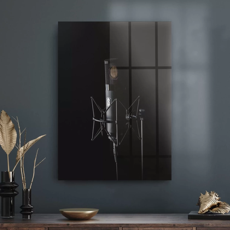 Vivantes Tempered Glass Wall Art - Retro Microphone