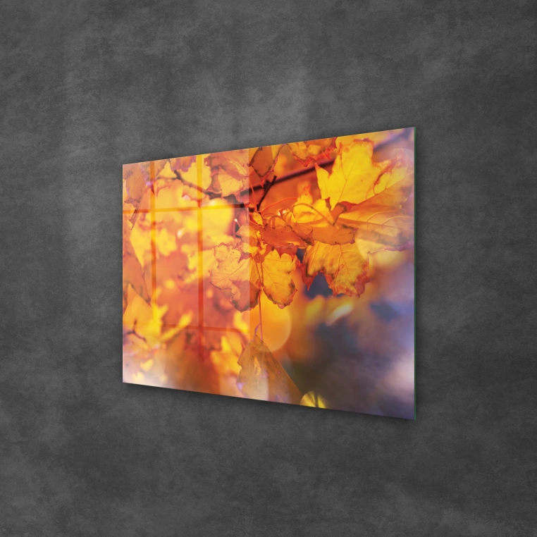 Vivantes Tempered Glass Wall Art - Fall Leaves