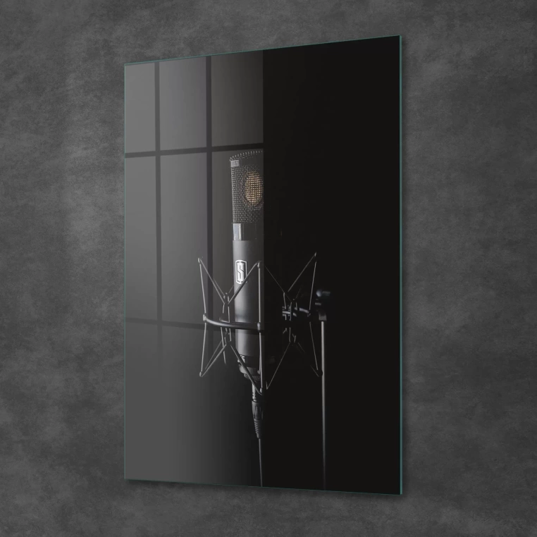 Vivantes Tempered Glass Wall Art - Retro Microphone