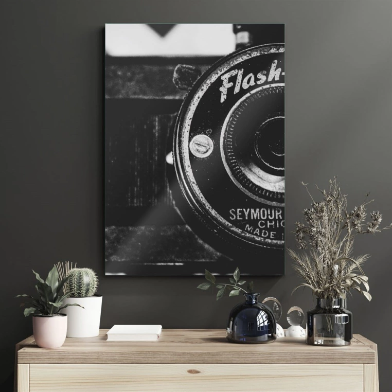 Vivantes Tempered Glass Wall Art - Vintage Camera